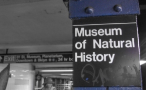 First stop: Museum of Natural History. Confession: we got lost.