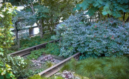 The rail line along the High Line, just peeking through the greenery.