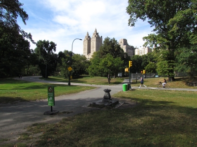 The famous Central Park, where people find calm respite from all the hustle and bustle.